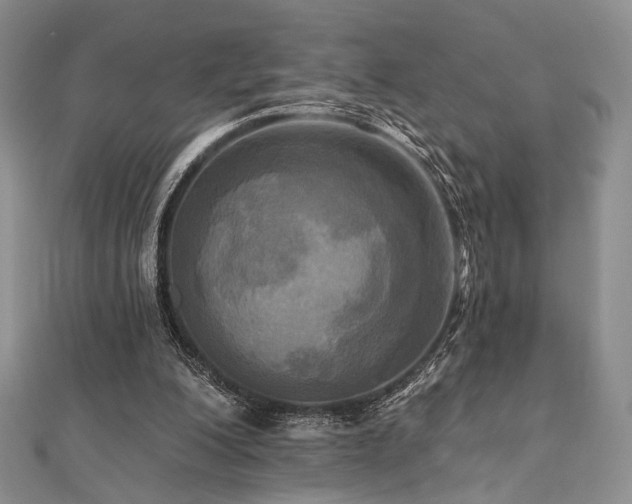 X0000112100200200908041518