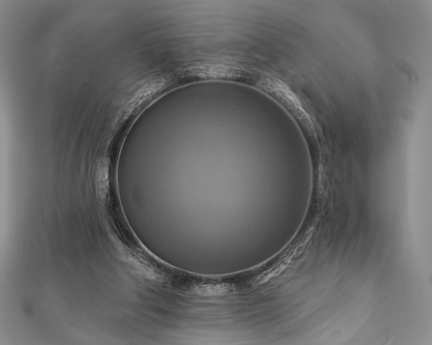 X0000112100202200908041518
