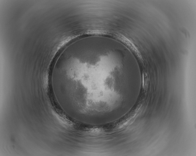 X0000112100204200908041518