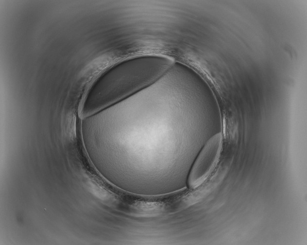 X0000112100205200908041518