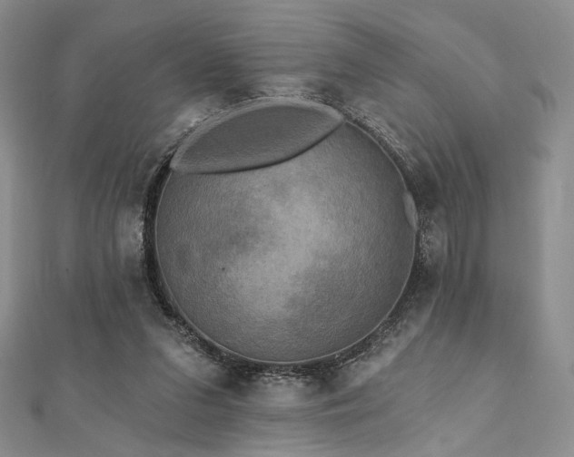 X0000112100207200908041518