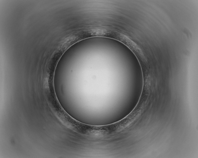 X0000112100209200908041518