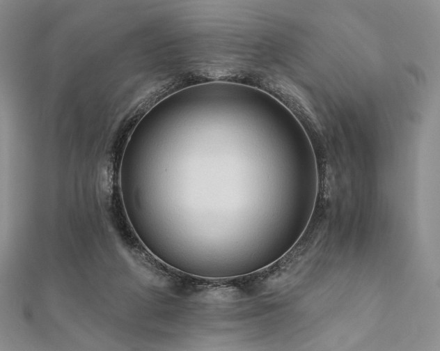X0000112100210200908041518