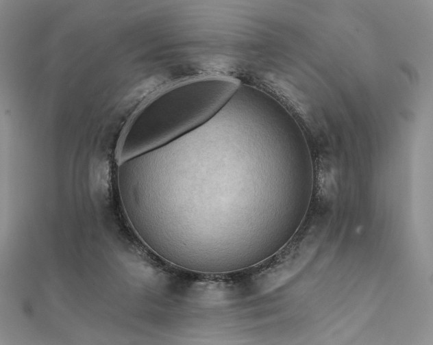 X0000112100211200908041518