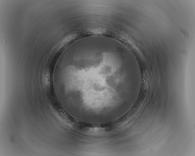 X0000112100212200908041518