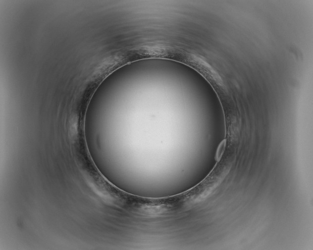 X0000112100213200908041518