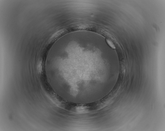 X0000112100216200908041518