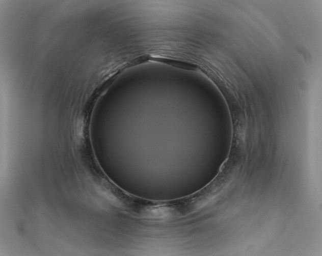 X0000112100219200908041518