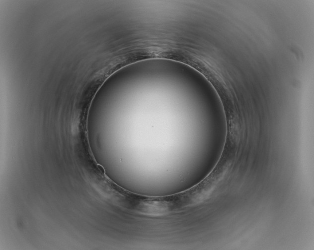 X0000112100221200908041517