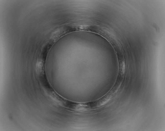 X0000112100222200908041517
