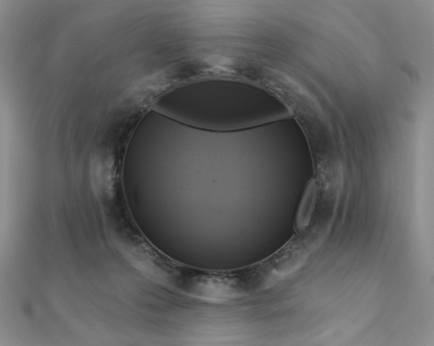 X0000112100223200908041517