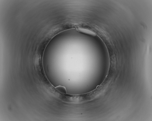 X0000112100225200908041517