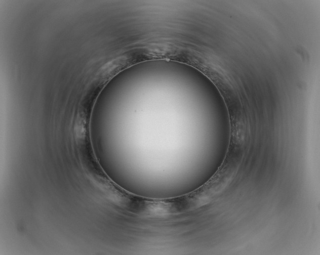 X0000112100226200908041517