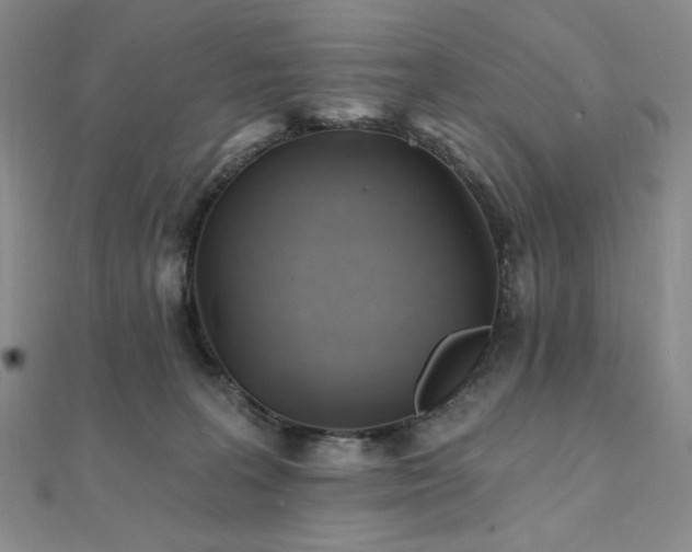 X0000112100227200908041517