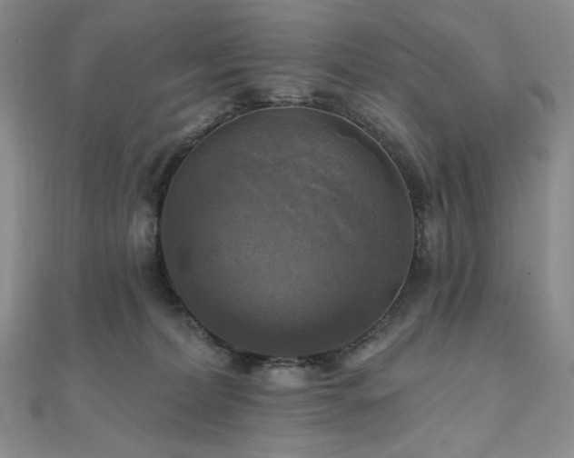 X0000112100228200908041517