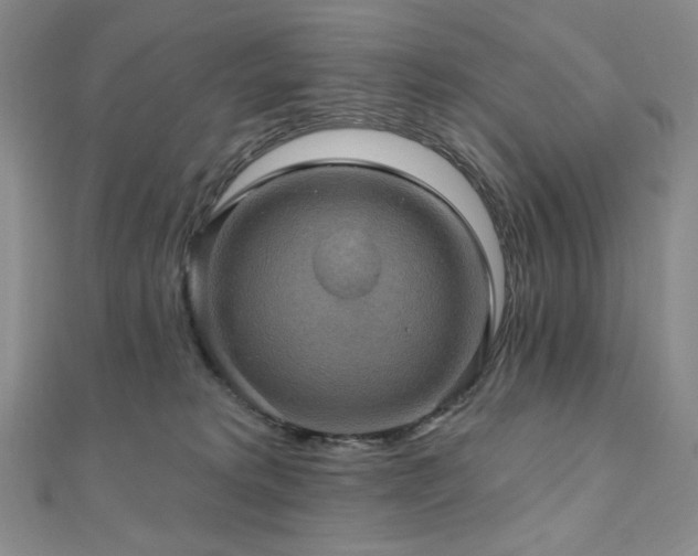 X0000112100229200908041517