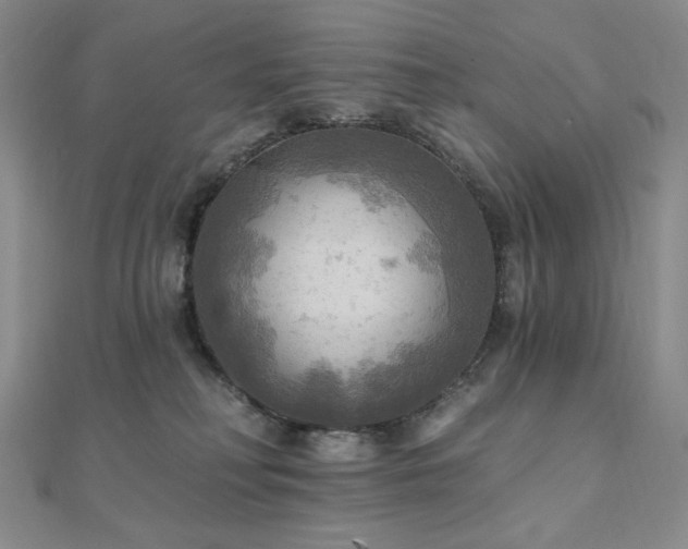 X0000112100230200908041517