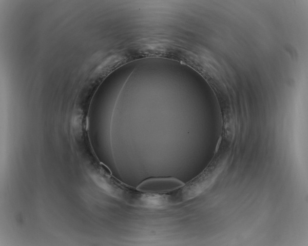 X0000112100231200908041517