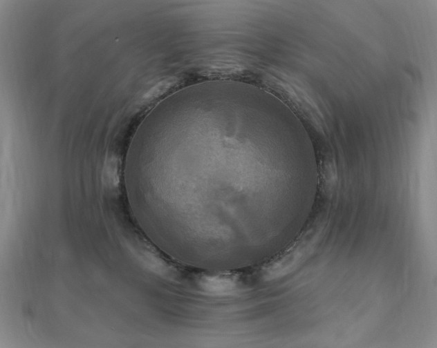X0000112100232200908041517