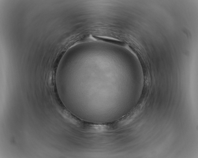 X0000112100233200908041517