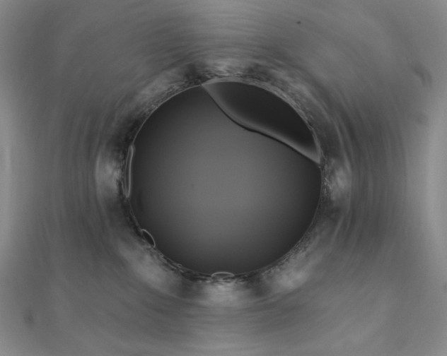 X0000112100235200908041517