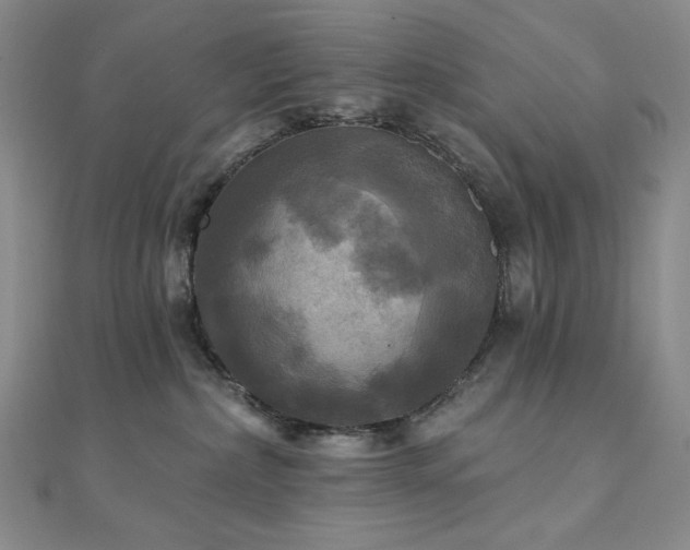 X0000112100236200908041517