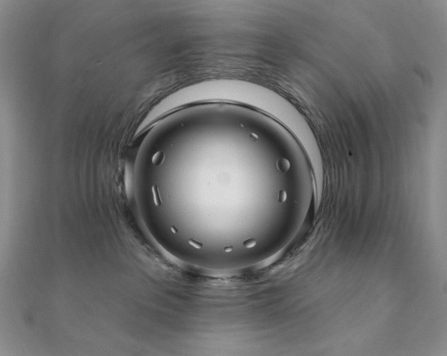 X0000112100237200908041517