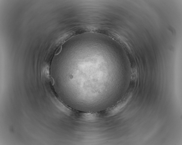 X0000112100238200908041517