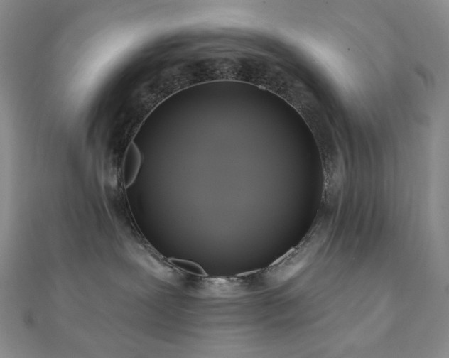 X0000112100239200908041517