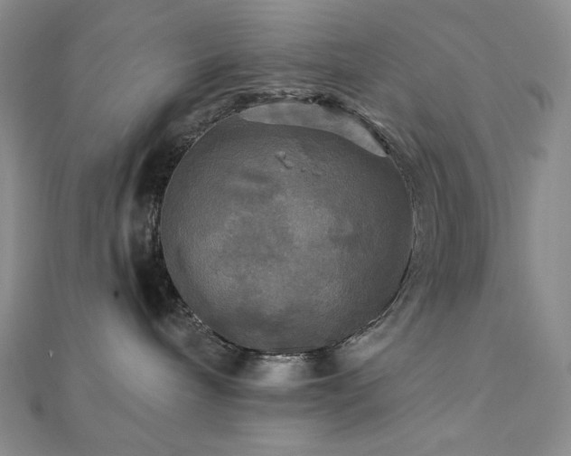X0000112100240200908041517