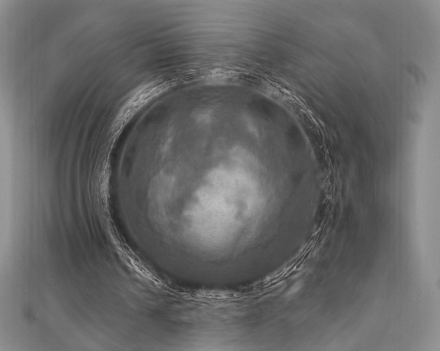 X0000112100242200908041517