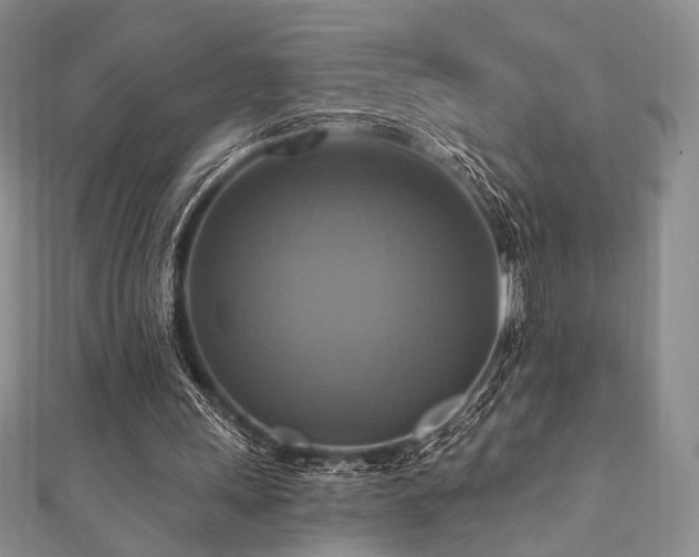 X0000112100243200908041517