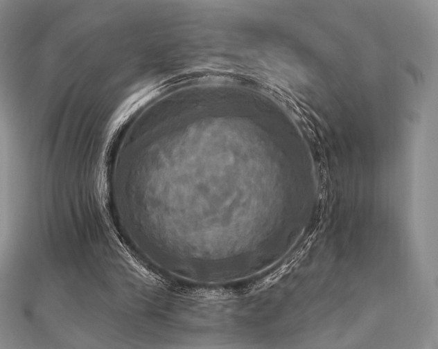 X0000112100245200908041517