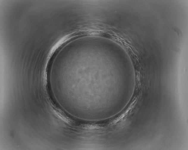 X0000112100246200908041517