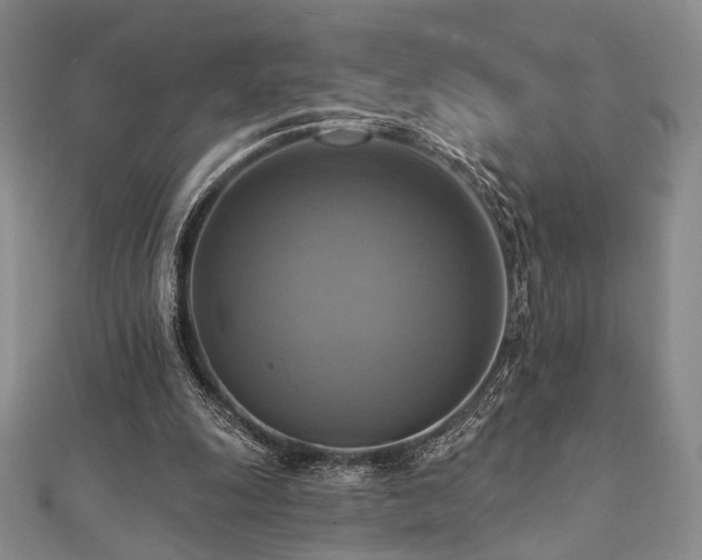 X0000112100247200908041517