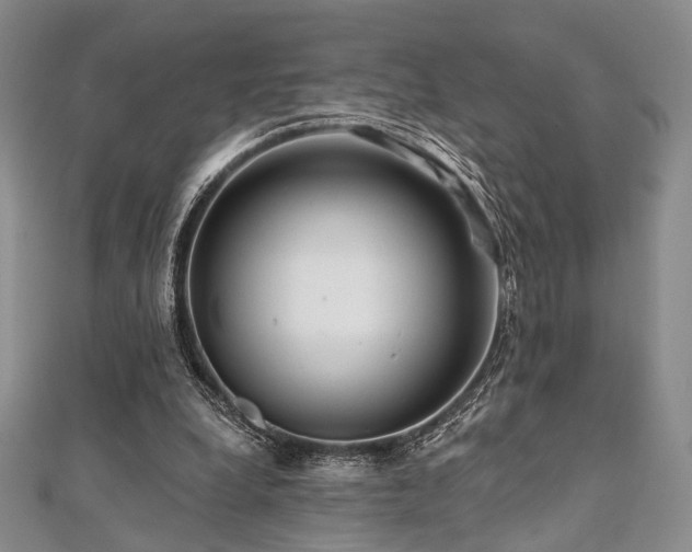 X0000112100248200908041517
