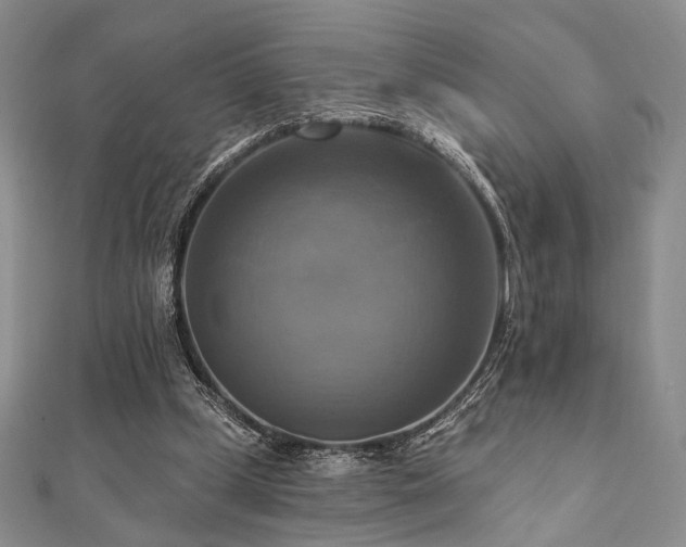 X0000112100249200908041517