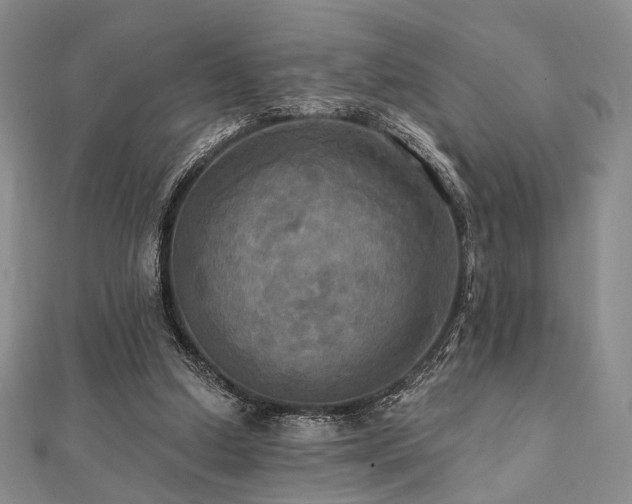 X0000112100250200908041517