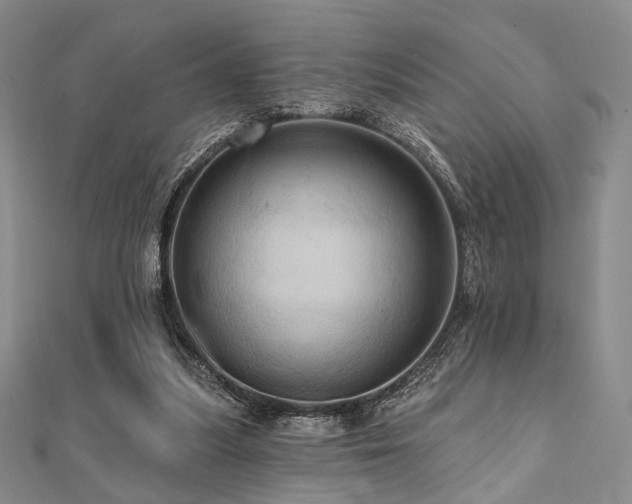 X0000112100251200908041517