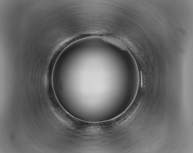 X0000112100252200908041517