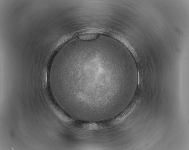 X0000112100253200908041517