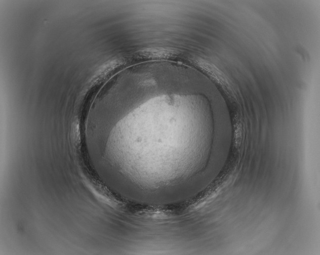 X0000112100254200908041517