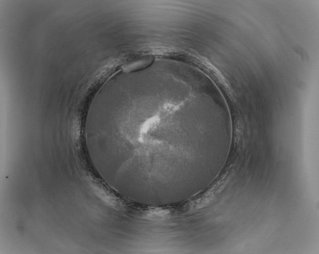 X0000112100257200908041517