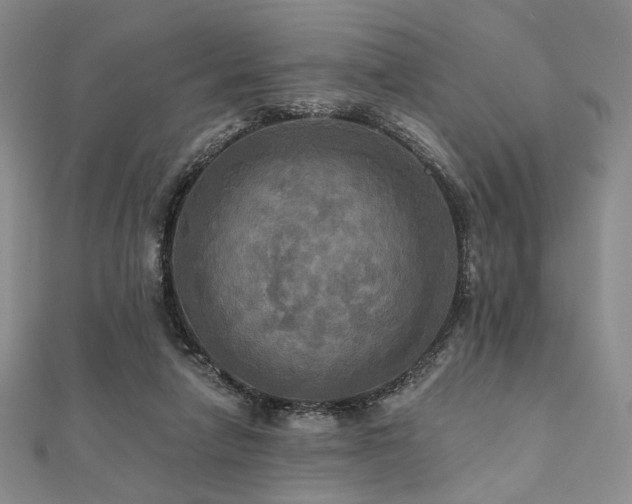 X0000112100258200908041517