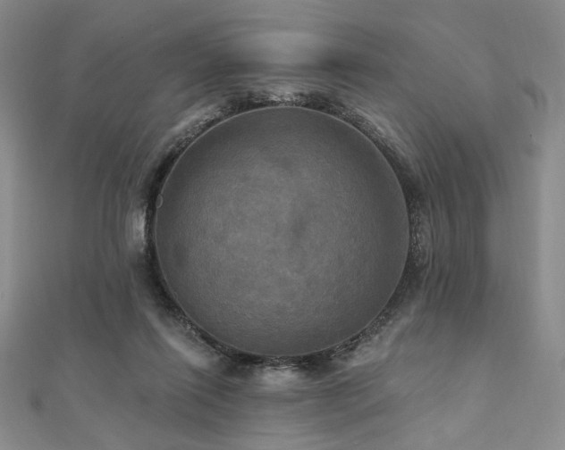X0000112100262200908041517