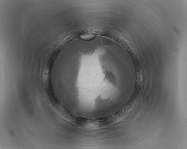 X0000112100263200908041517