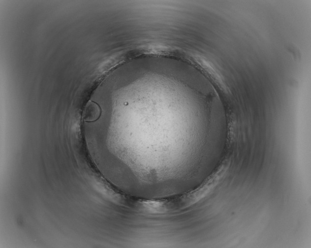 X0000112100265200908041517