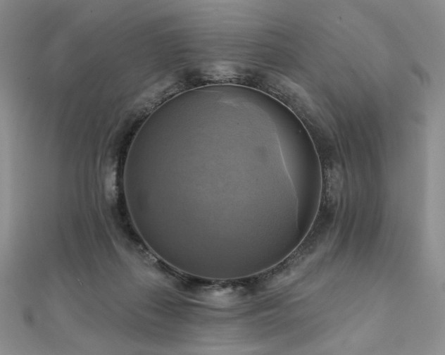 X0000112100267200908041517