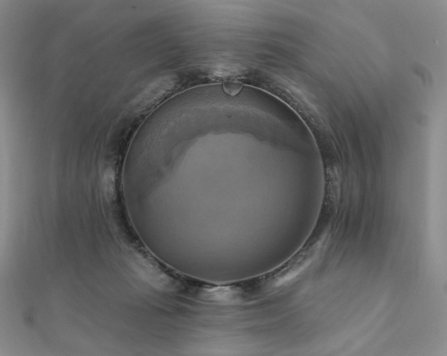 X0000112100269200908041517