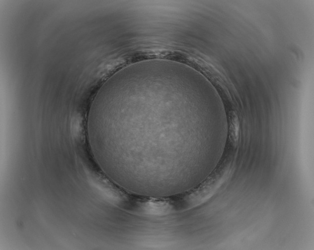 X0000112100270200908041517